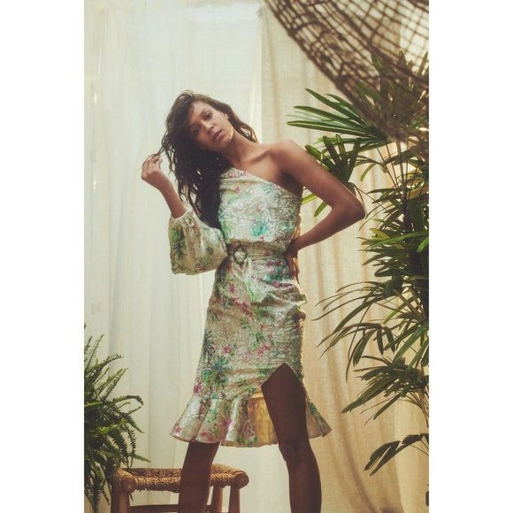 HEMANT AND NANDITA Zaina Midi Dress - Picture 1 of 11